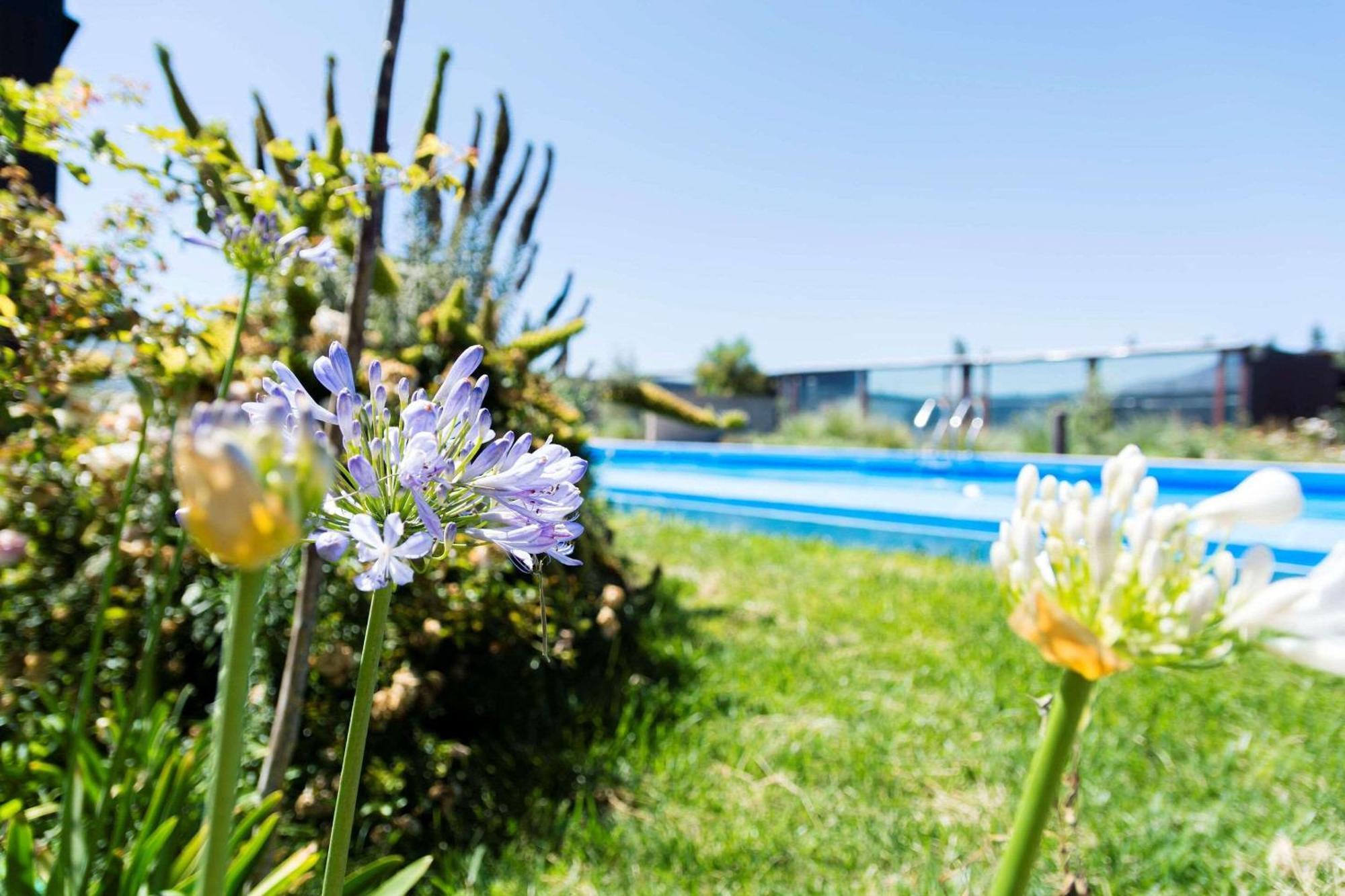 Park Inn By Radisson Los Olivos De Vallenar Kültér fotó